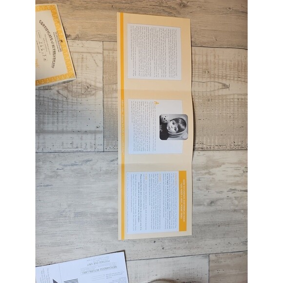 Disney Ashton-Drake “You Need a Hug, Pooh” Porcelain Doll by Cindy McClure COA - Picture 14 of 16